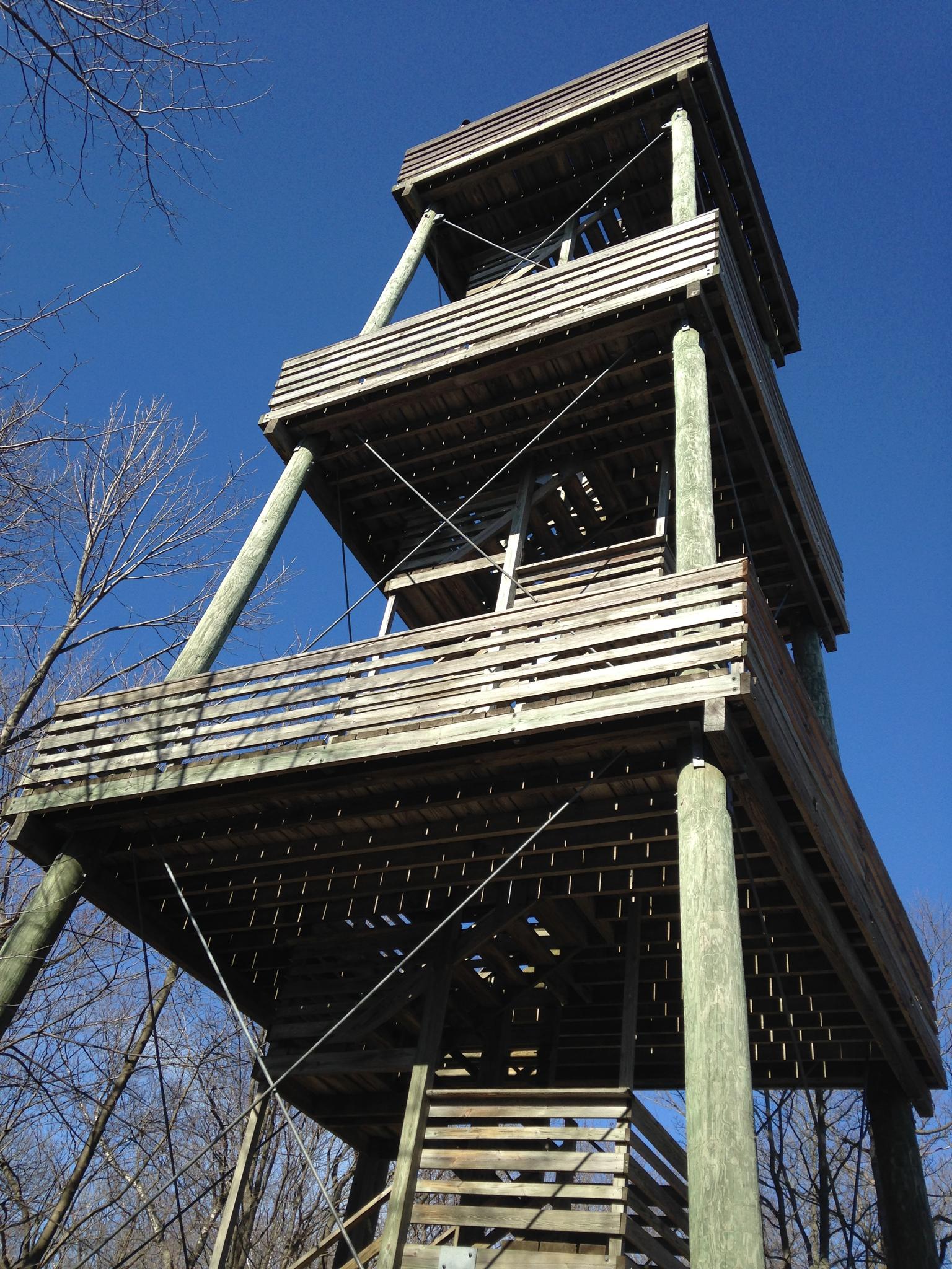 Tall wooden observation tower against a clear blue sky, surrounded by bare trees.