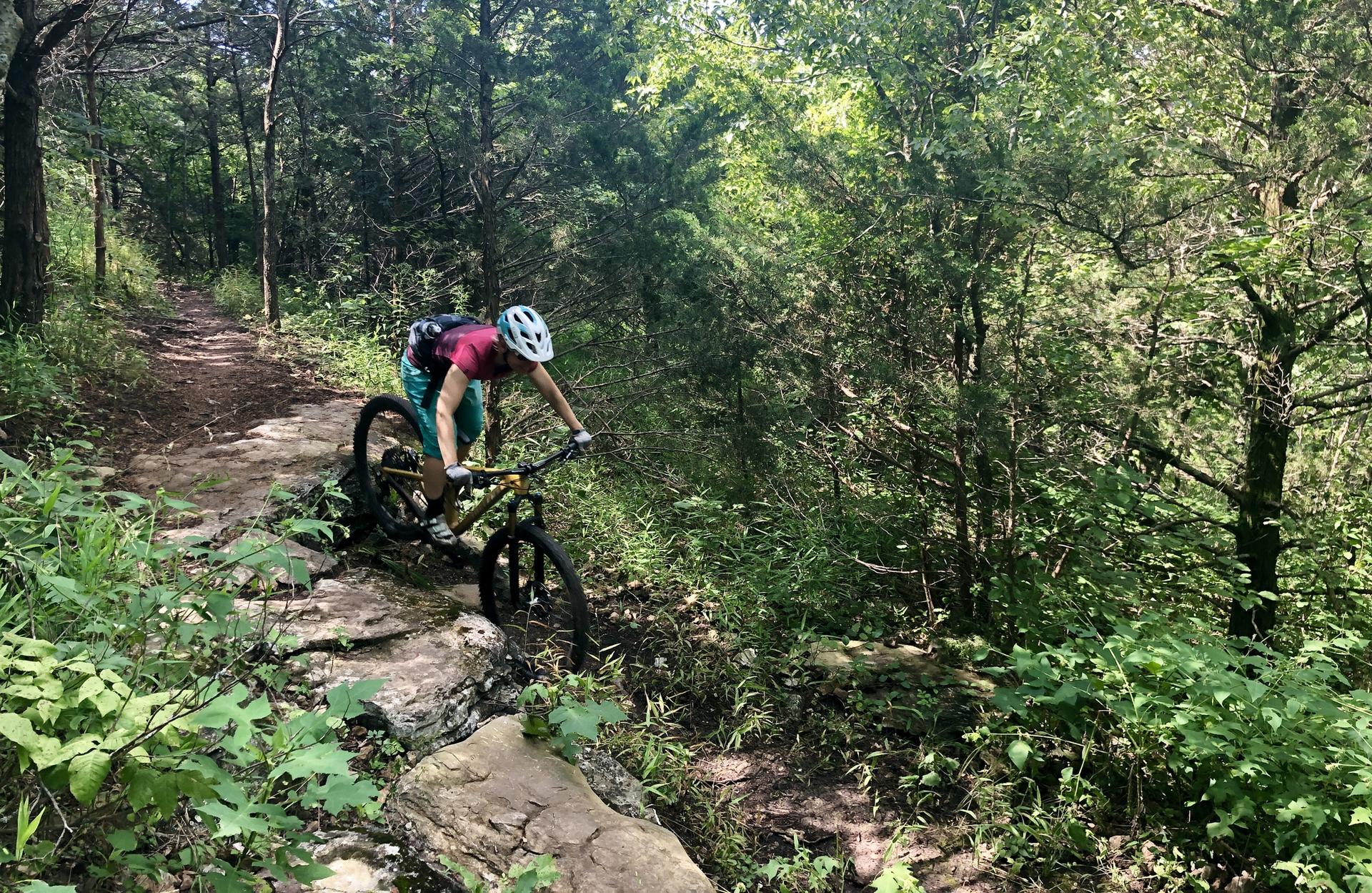 A person on a mountain bike navigates a rocky dirt trail through a forest.