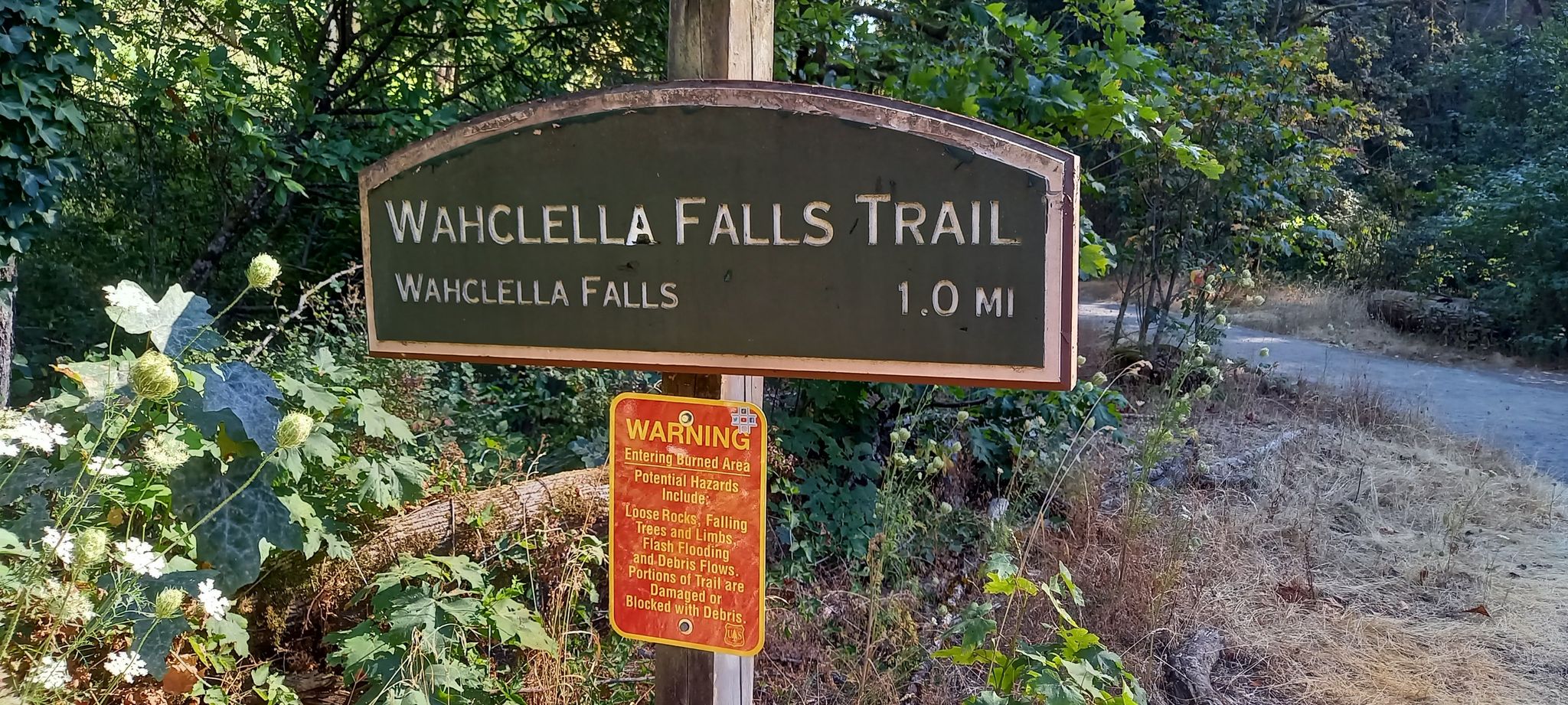 Wooden trail sign indicating a waterfall trail and distance. - Munra Point via Gorge Trail #400