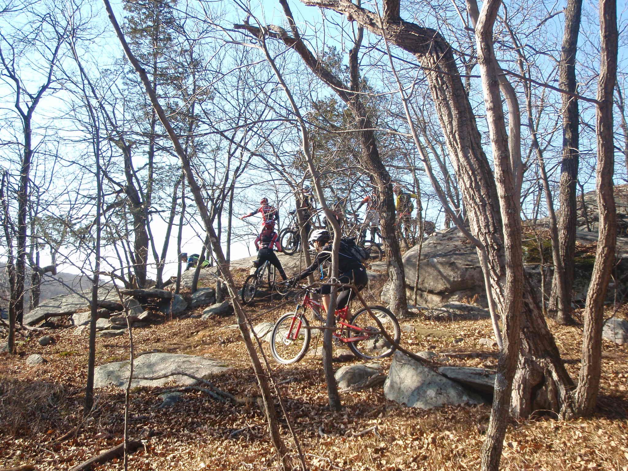 Mountain bikers navigating a rocky, leaf-covered forest on a bright day. - Technical Loop