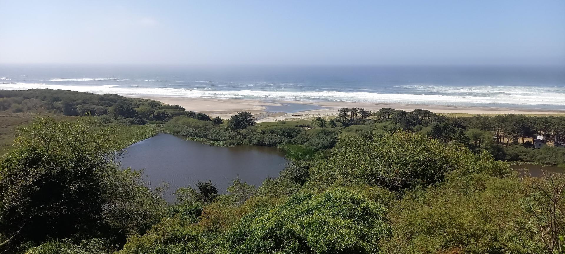 Sunny view of ocean waves, sandy beach, dark lake, and lush green trees.
