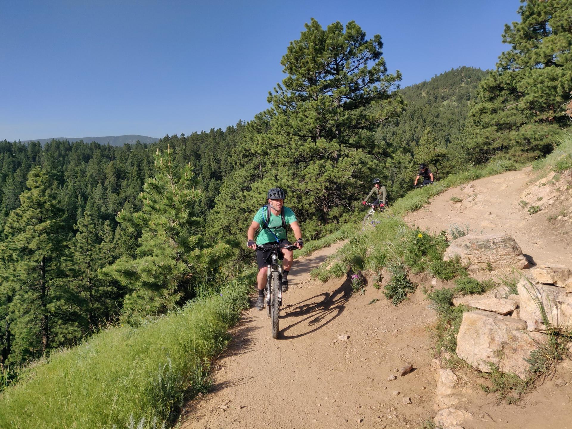 A man mountain bikes on a sunny dirt trail through pine trees.