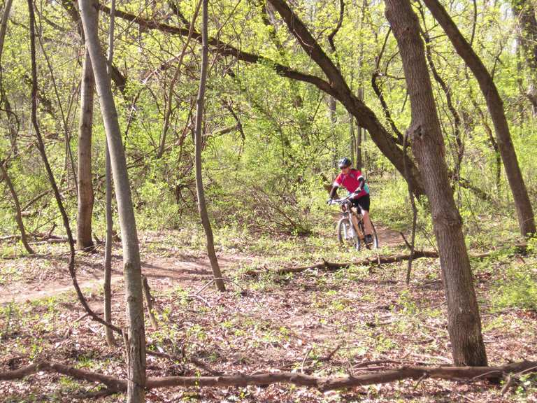 Camrock Trails Mountain Bike Trails Tracks Komoot