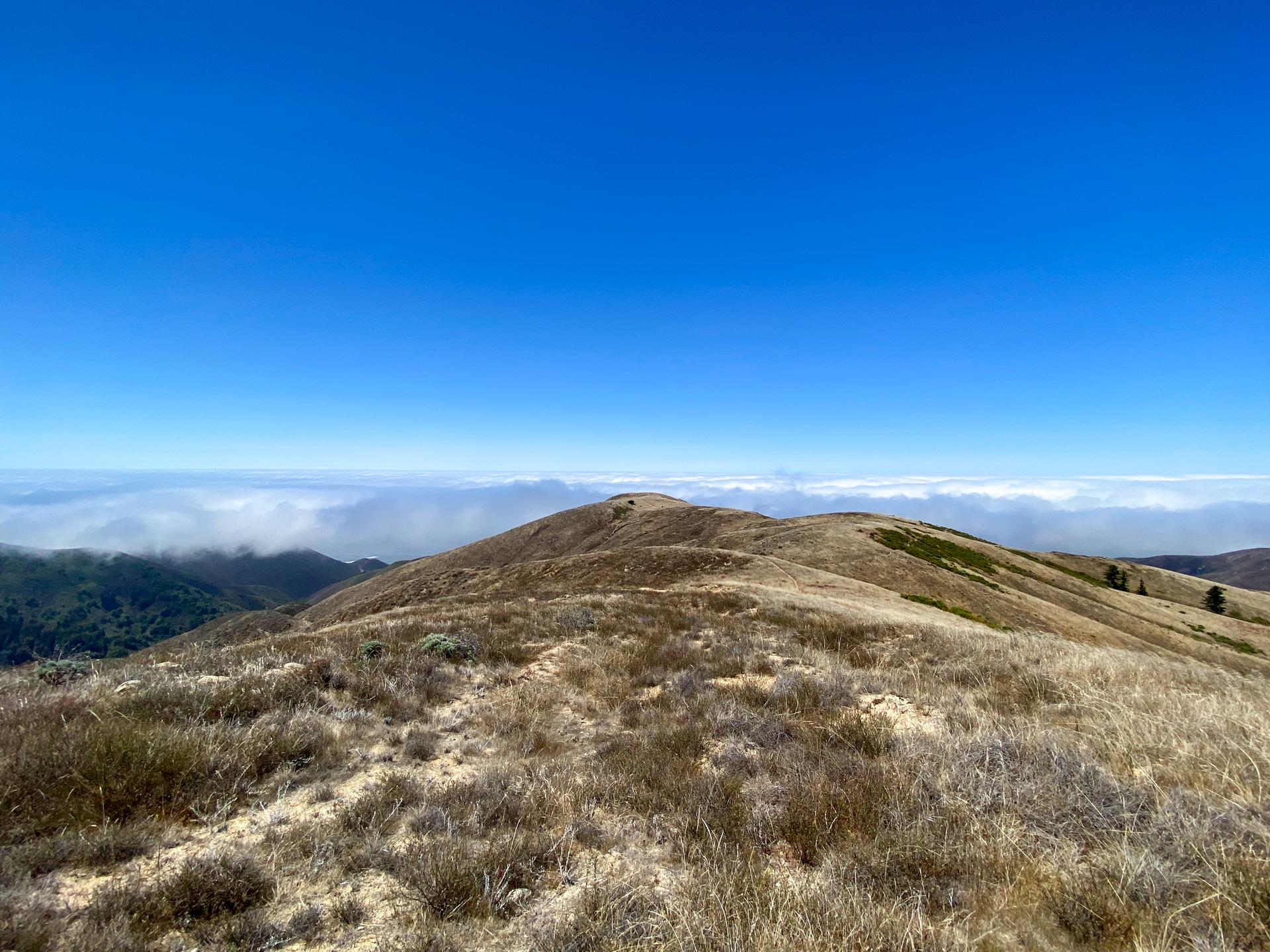 Rolling hills covered in dry grass under a clear blue sky.