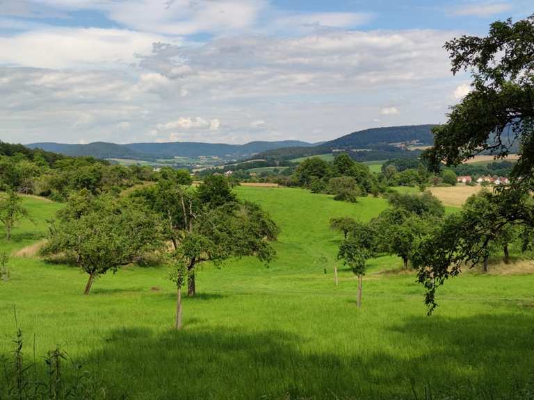 Winzenhohl Wanderungen und Rundwege komoot