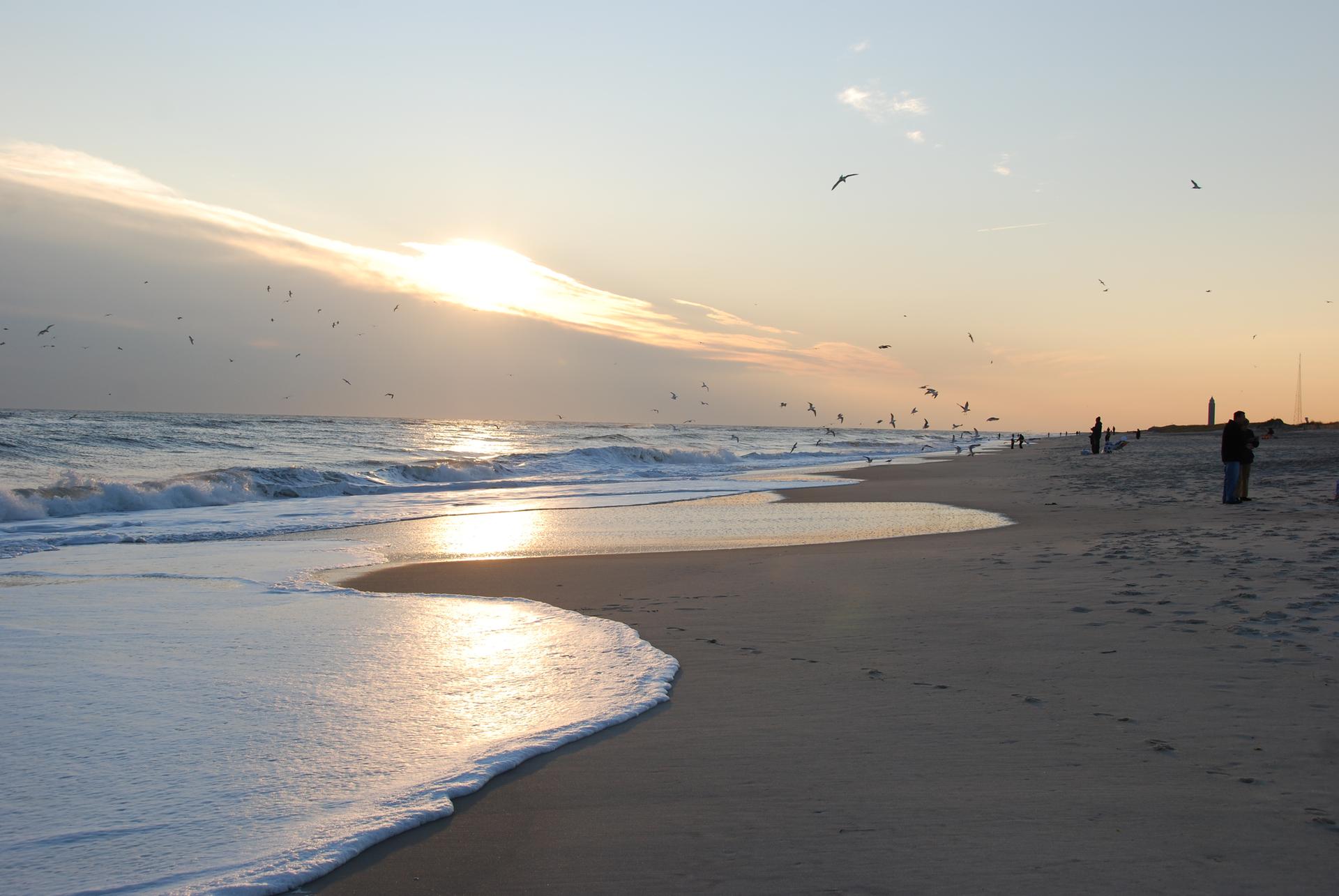 Golden sunset over a sandy beach with waves, many birds flying, and people.