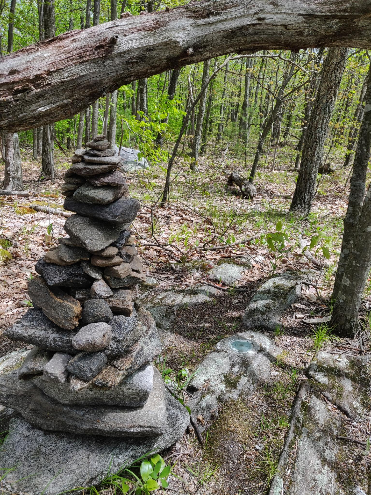 A tall rock cairn stands on a sunlit forest floor under a fallen log.