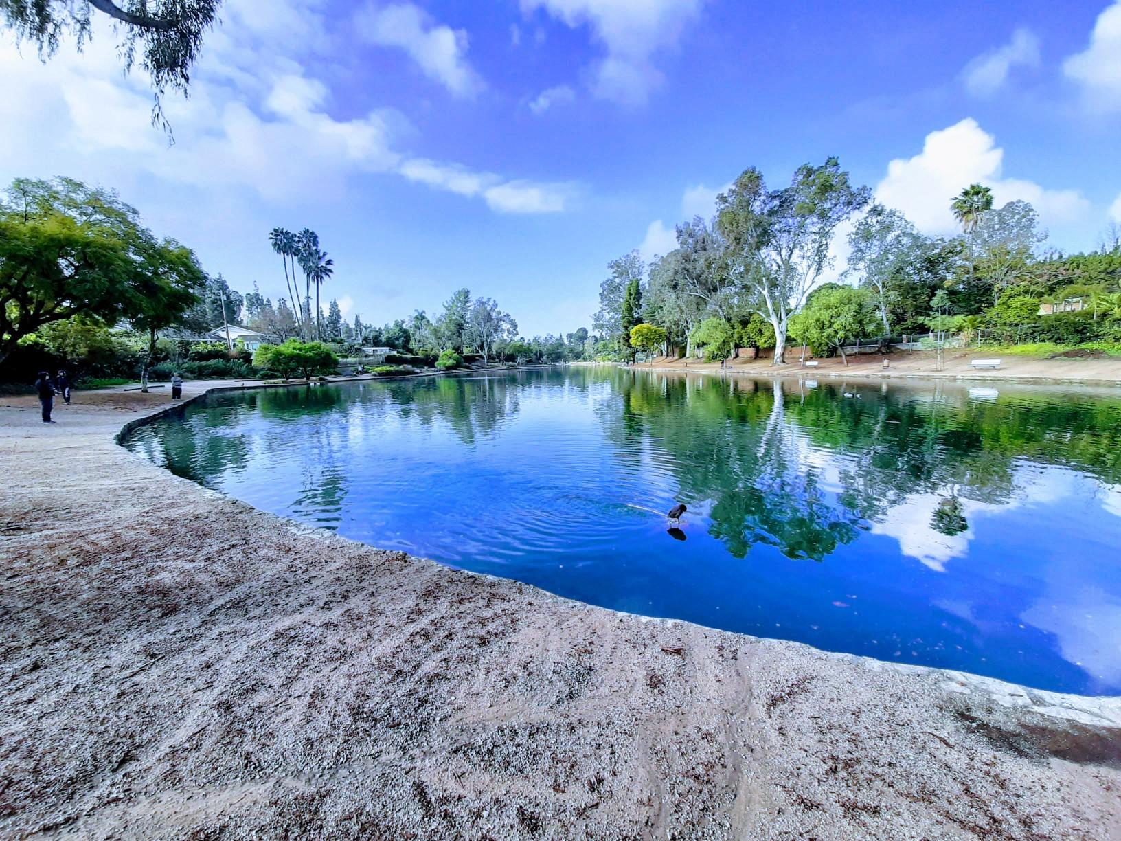 A calm lake reflecting blue sky, surrounded by trees and a sandy shore.