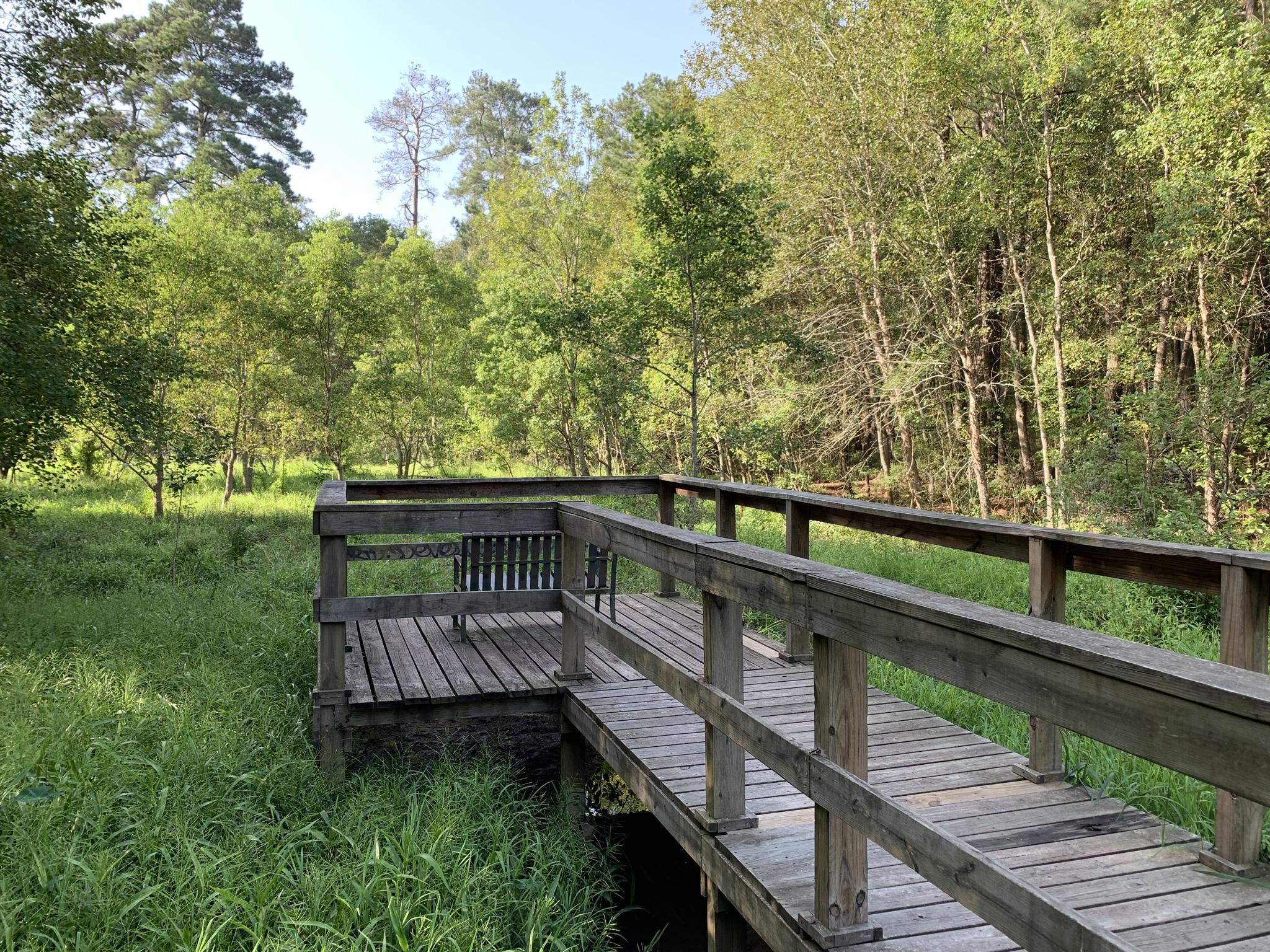 A wooden boardwalk with a bench extends into a grassy, wooded area.