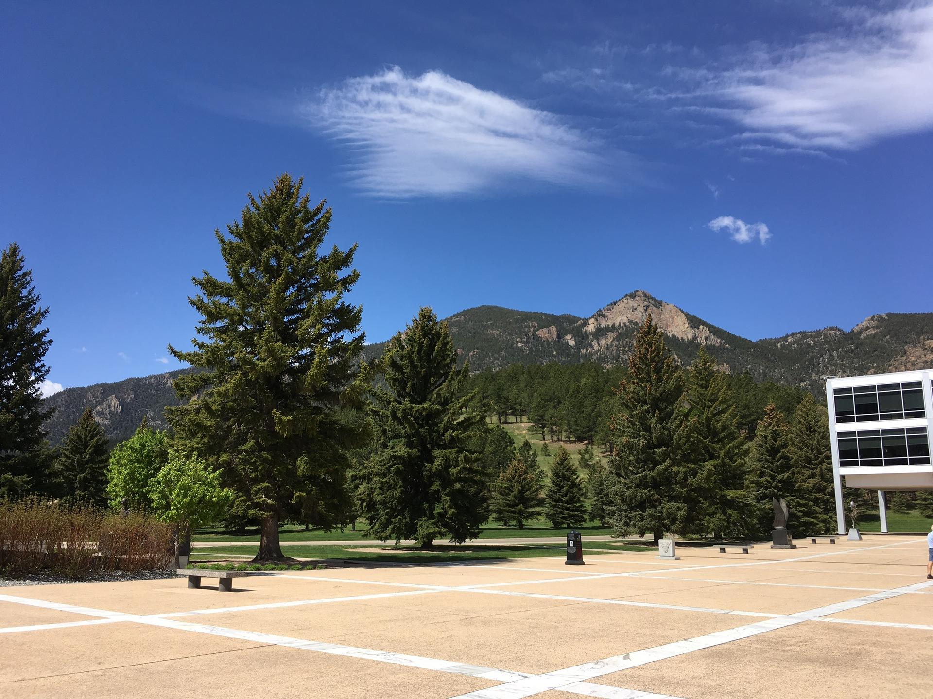 Sunny view of tall pine trees, mountains, and a modern building.