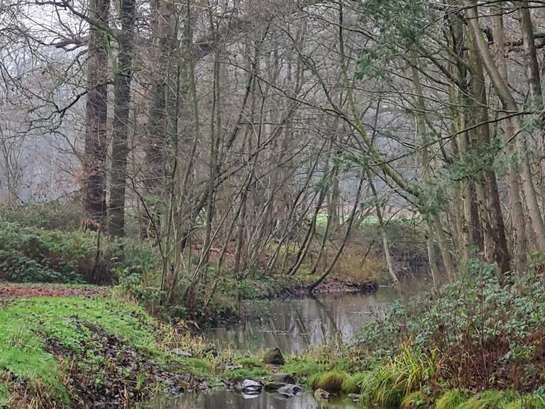 Barneveld Wald-Naturschutzgebiet – Wanderungen & Anfahrt | Komoot