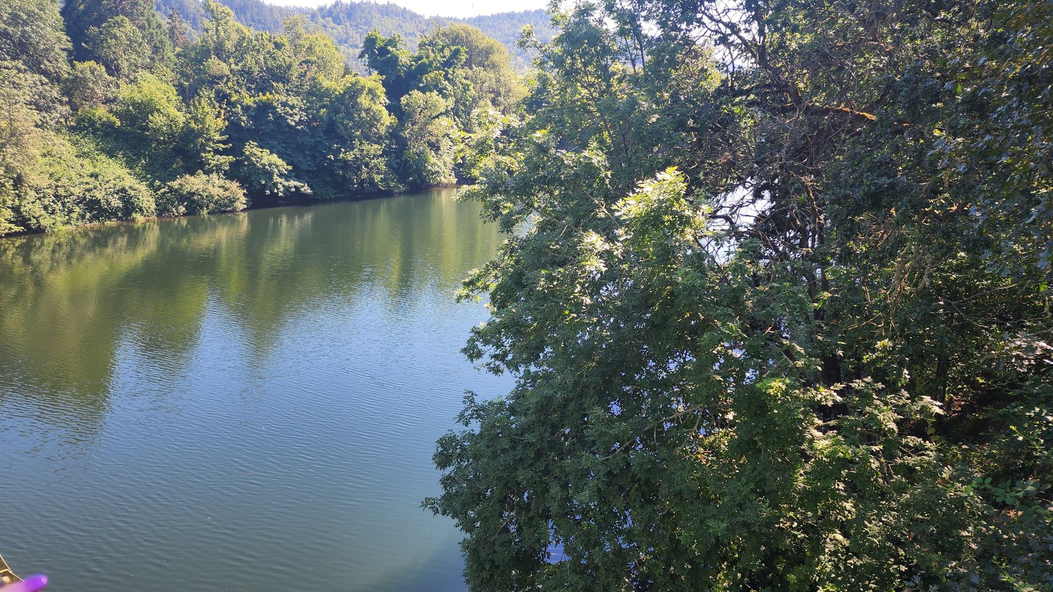Sunny view of a calm lake surrounded by dense green forest. - South Umpqua Riverfront Trail