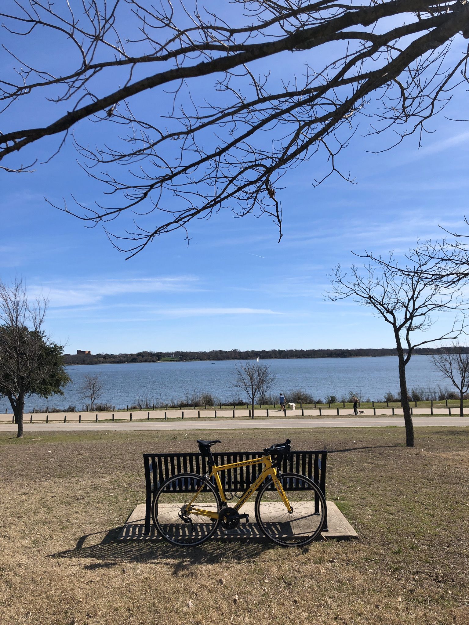 A yellow bicycle rests on a bench overlooking a wide lake on a sunny day. - White Rock Lake Park Loop Trail