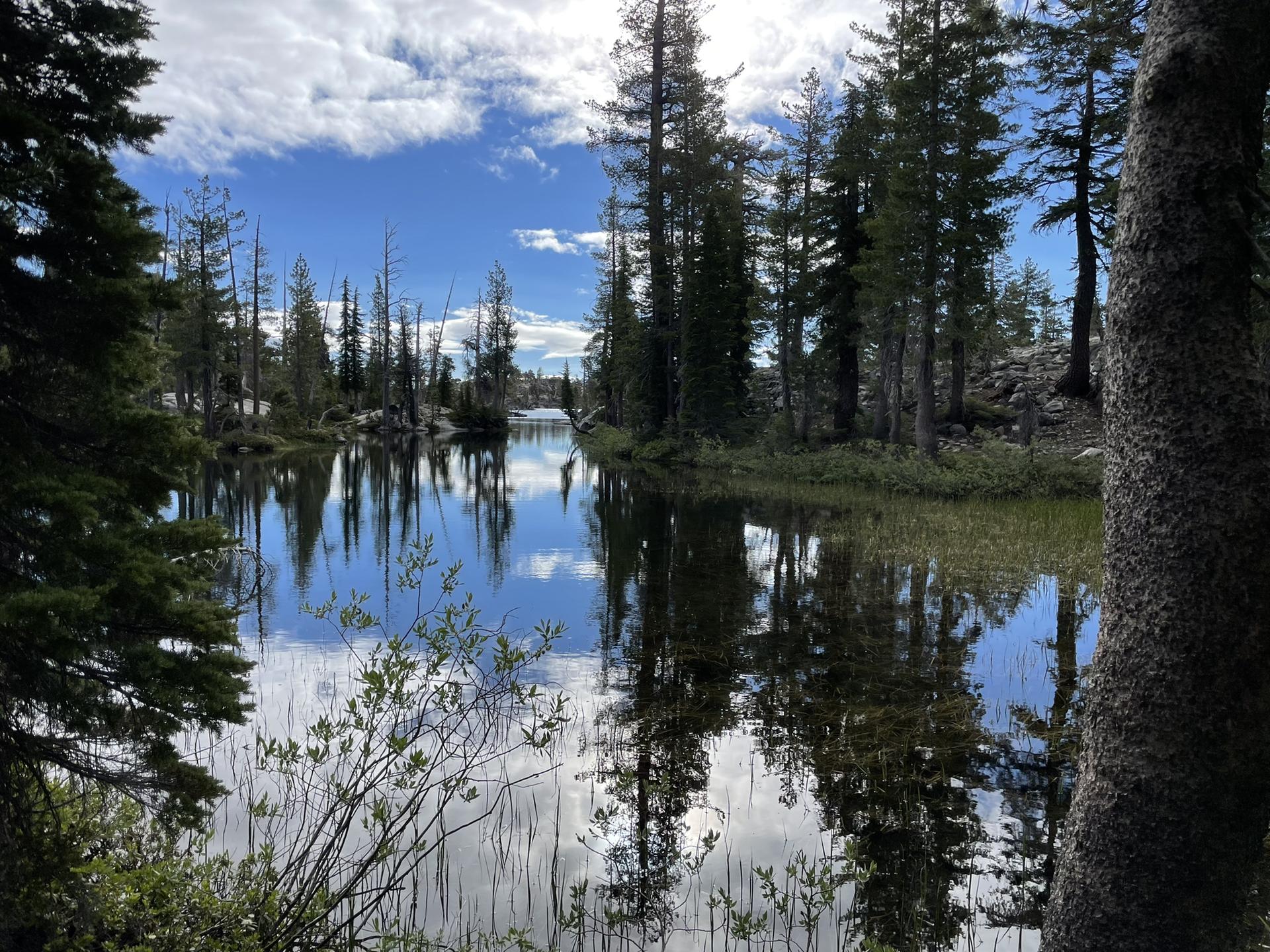 Calm lake reflecting a cloudy sky and tall pine trees.