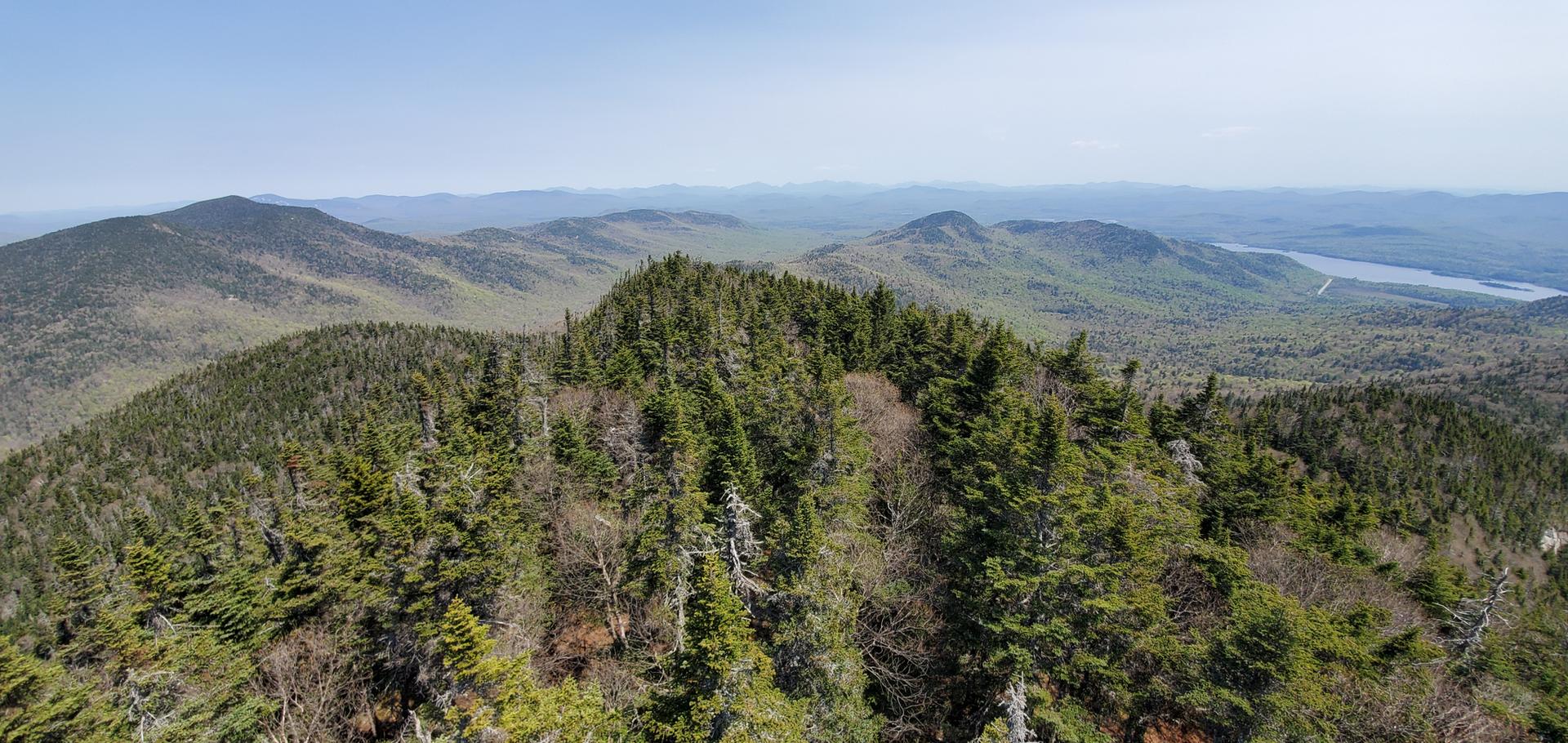 Panoramic view of vast green forested mountains under a clear blue sky.