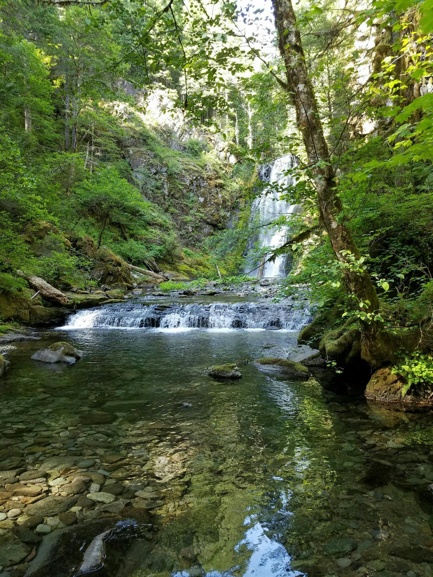 A waterfall cascading into a clear stream surrounded by lush green forest.