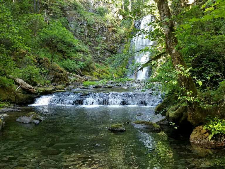 Siouxon Falls & Chinook Falls – Gifford Pinchot National Forest | hike ...