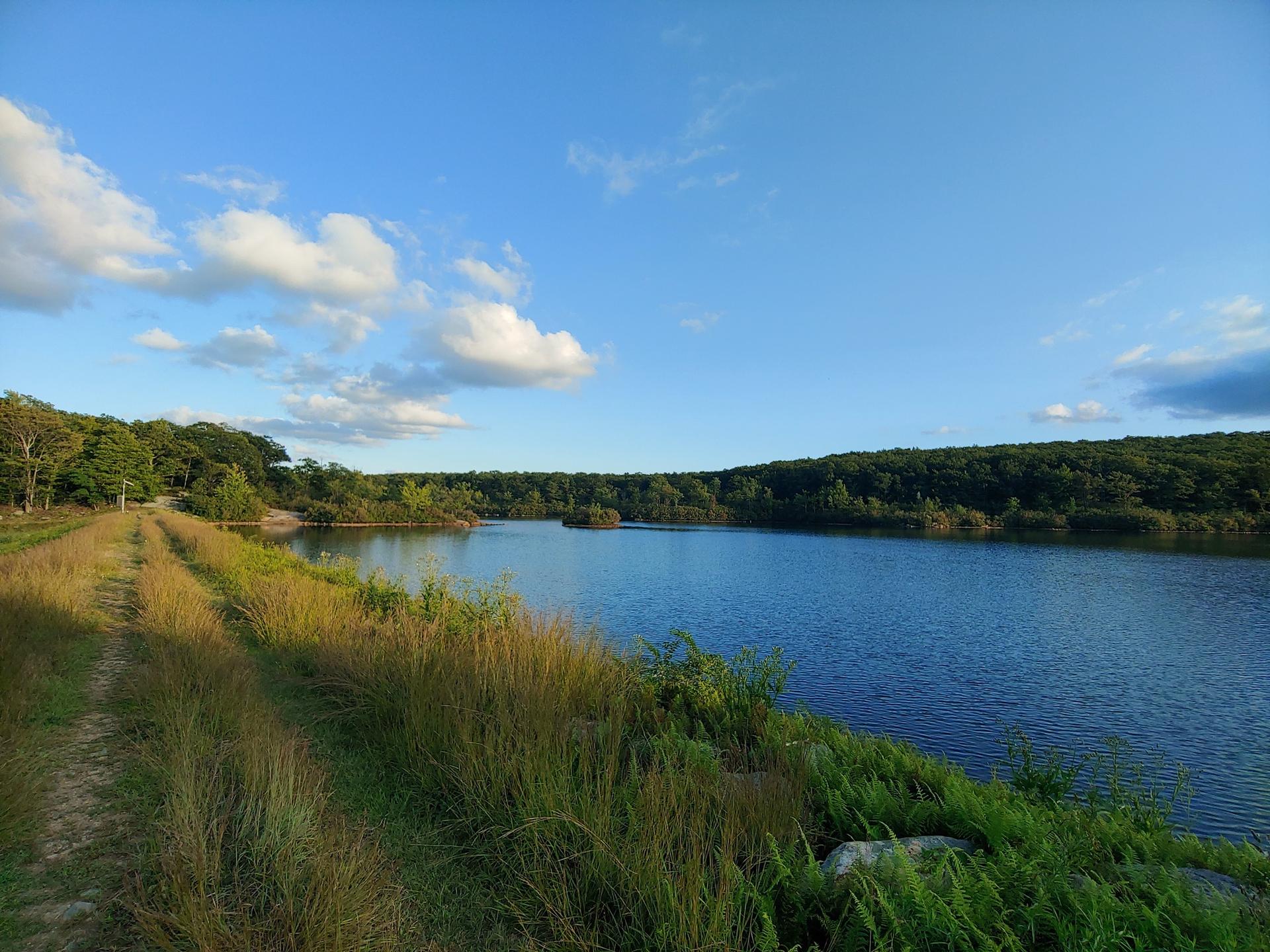 A calm lake with a grassy path under a bright blue sky with clouds.