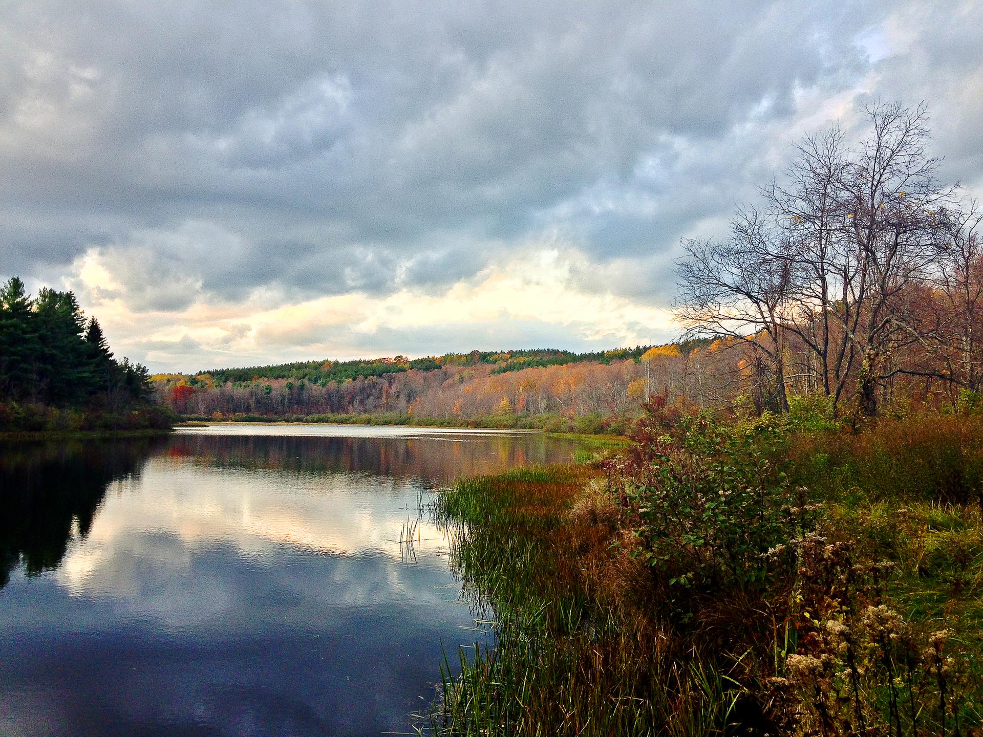 Overcast sky reflected in a lake, with autumn trees and bare branches.