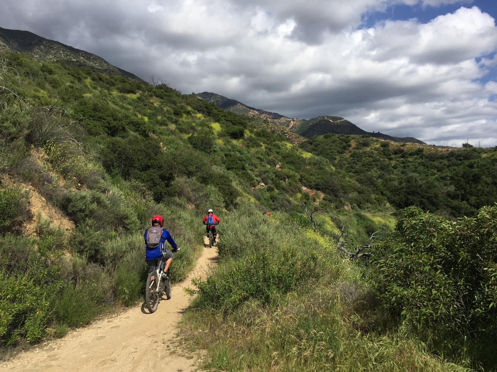Two mountain bikers ride a dirt path through green, brushy hills under a cloudy sky.
