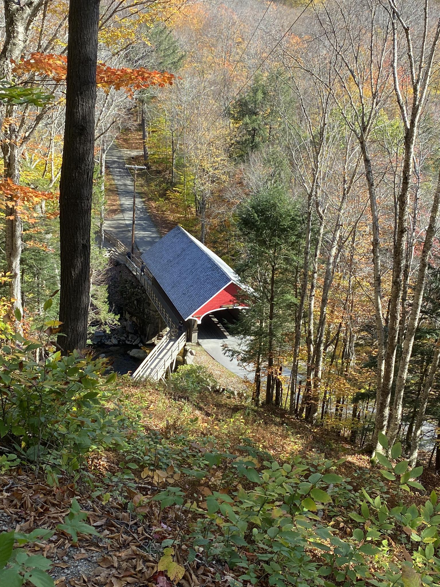 Red covered bridge seen from above, surrounded by autumn trees.