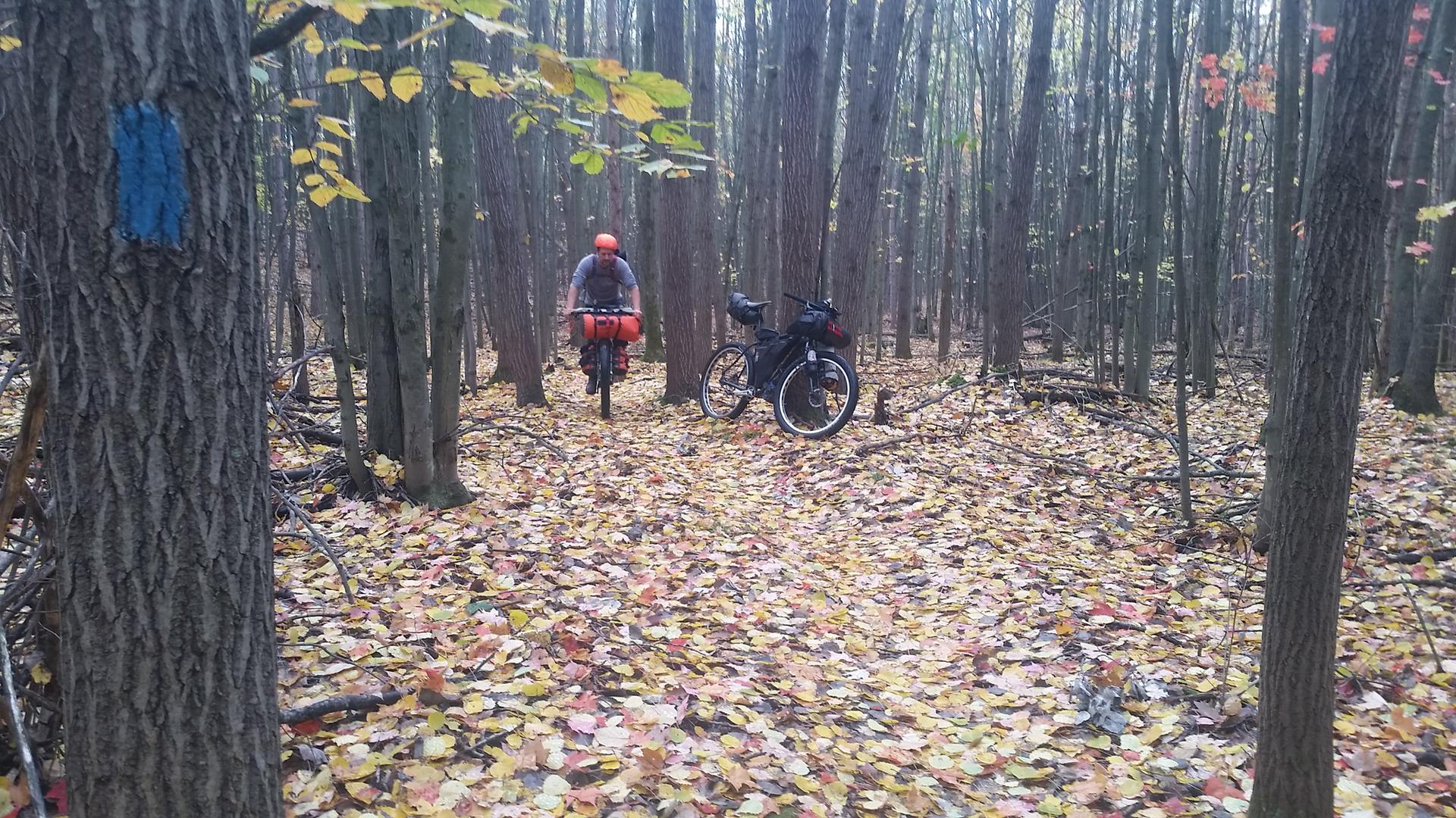 A cyclist rides a loaded bike on a leaf-covered forest trail in dappled light.