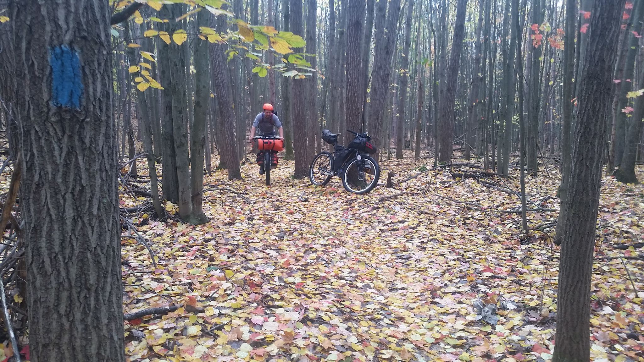 A cyclist rides a loaded bike on a leaf-covered forest trail in dappled light. - North Country Trail: M-20 to Echo Drive