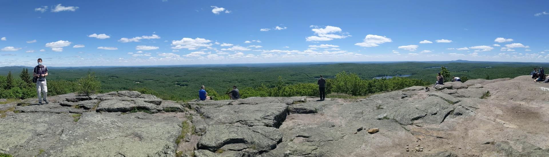 People enjoying a panoramic view from a rocky summit over a green forest.