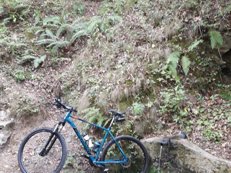 Donato source mountain bike trails tracks komoot