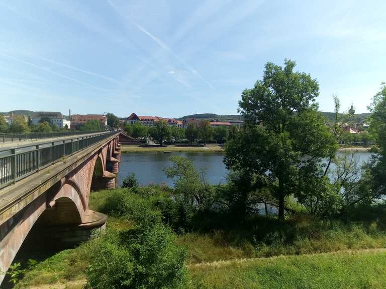 Blick von der Mainbrücke Radtouren und Radwege komoot