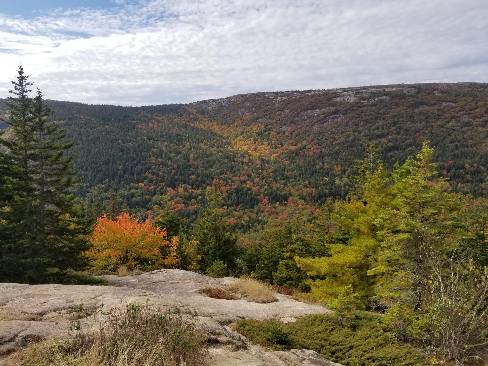 Forested mountainside with vibrant autumn foliage under a cloudy sky.