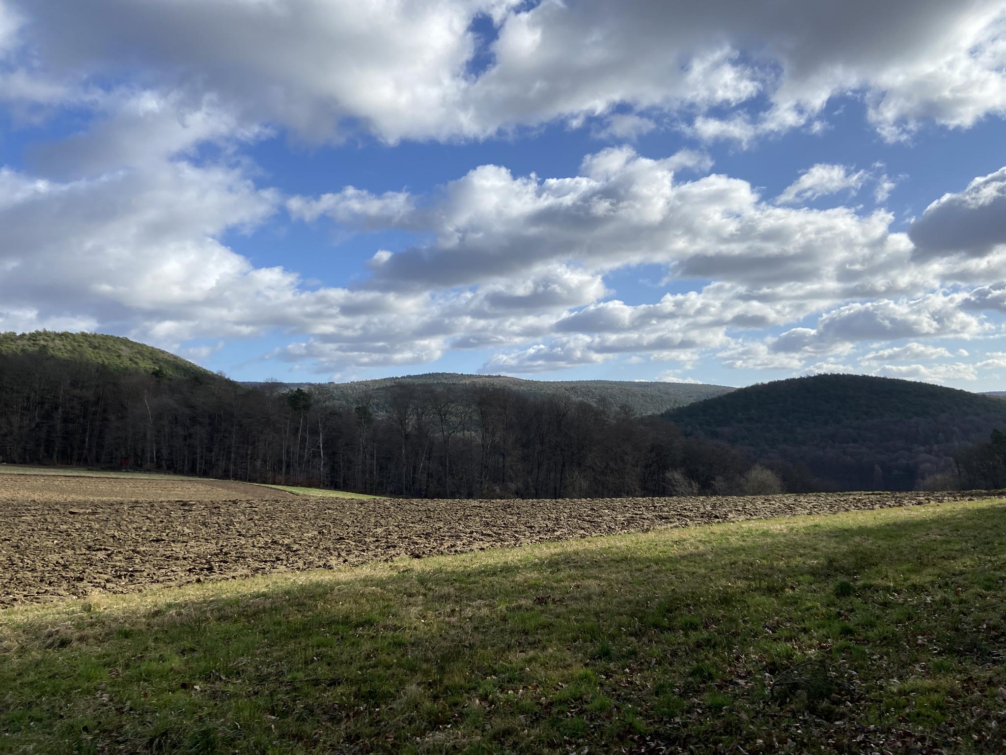 Hohe-Wart-Haus – Mitten Im Spessart Runde Von Volkersbrunn | Wanderung ...