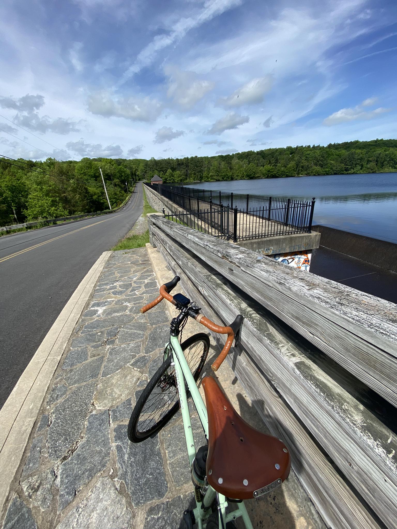 A mint green bicycle rests by a lake and road on a sunny day.