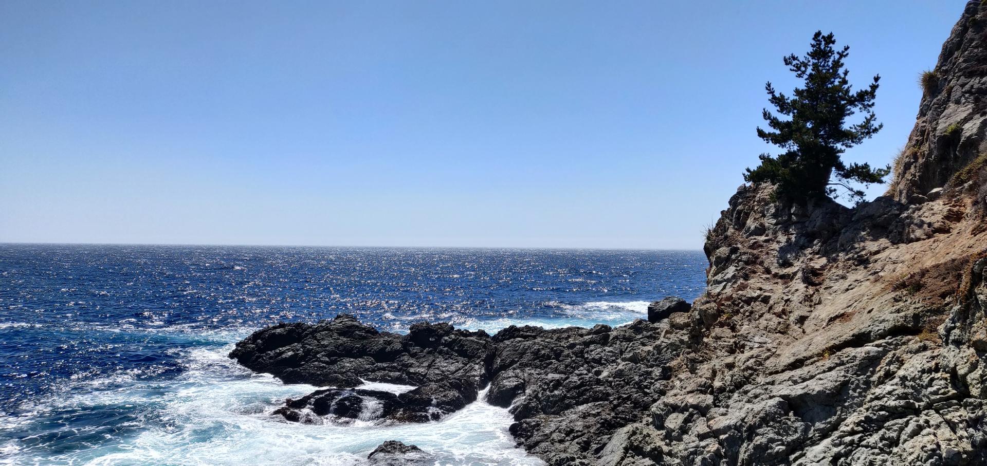 Bright blue ocean with crashing waves next to a rocky cliff and small tree.