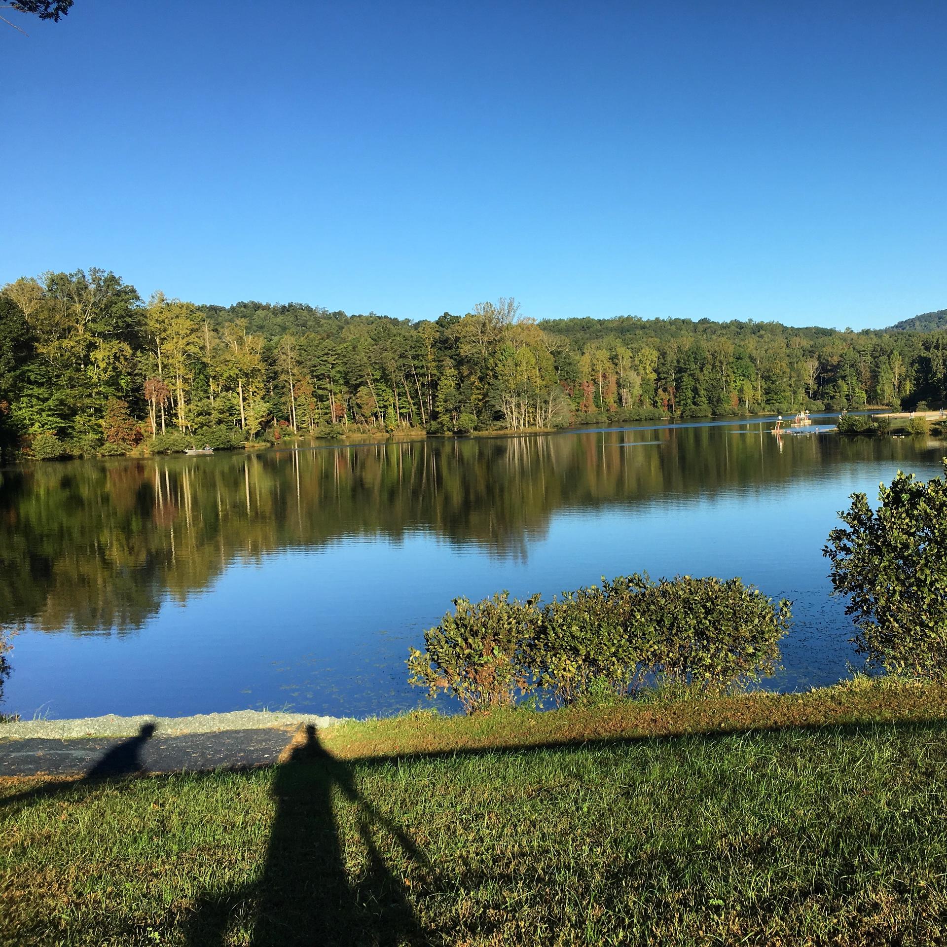 Sunny lake with forest reflections and a person's long shadow on grass.