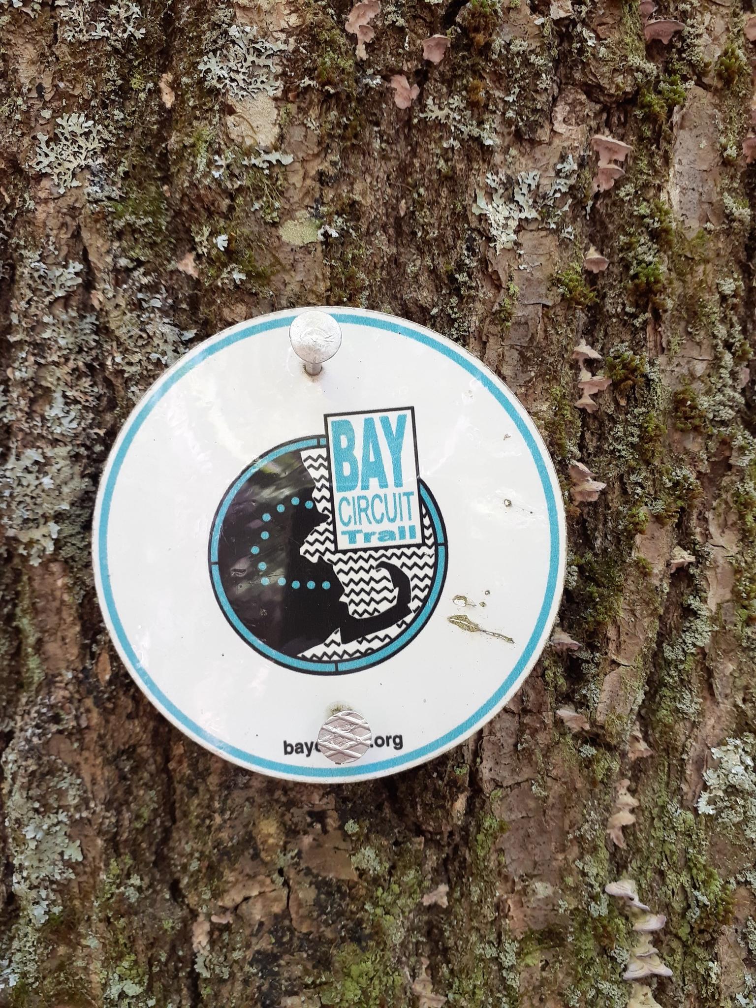 A white and blue circular trail marker sign attached to a textured tree trunk.