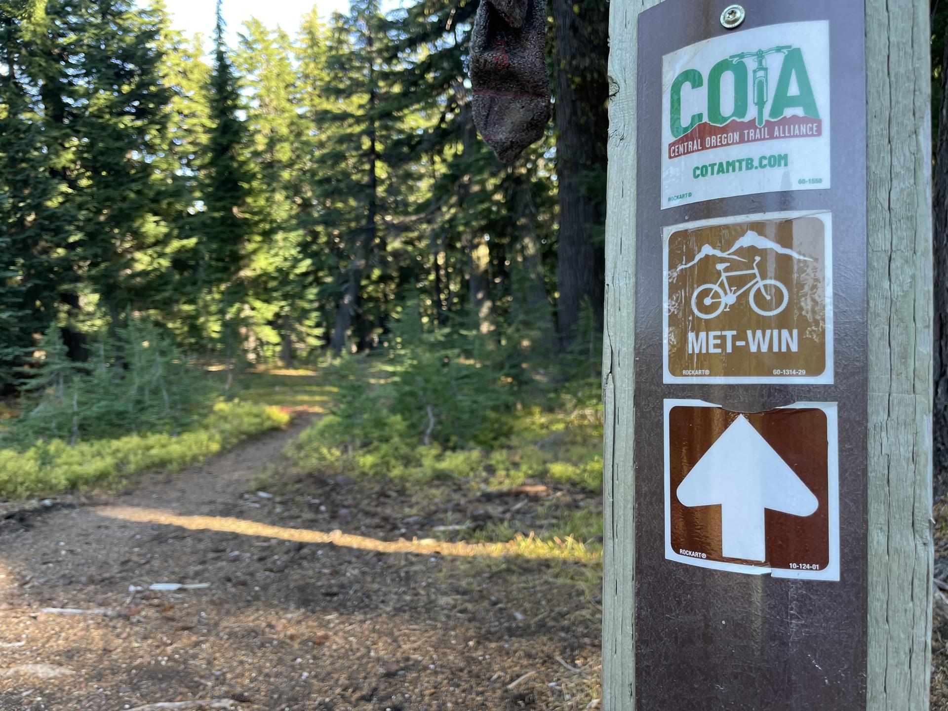 Sunlit forest trail with a wooden post displaying trail signs.