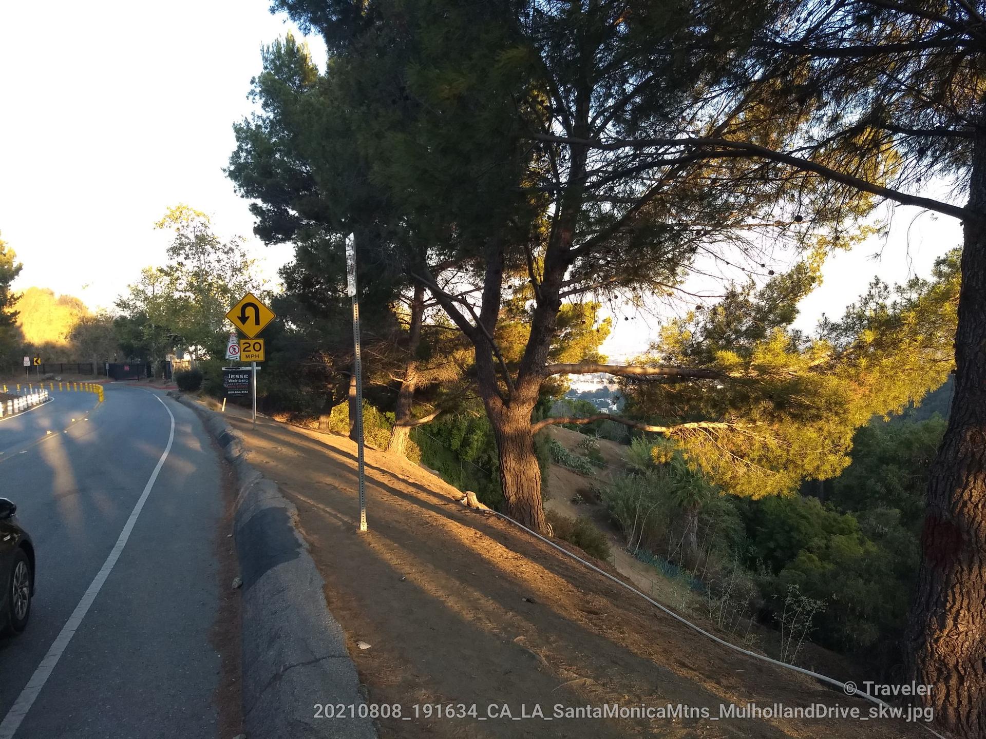 Sunny road curves past large trees with long shadows on a hillside.