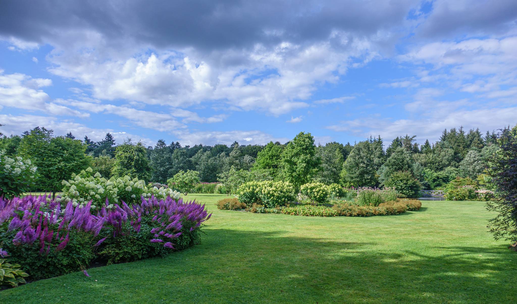 thujas kaufen Thuja Smaragd kaufen  schmale Hecke