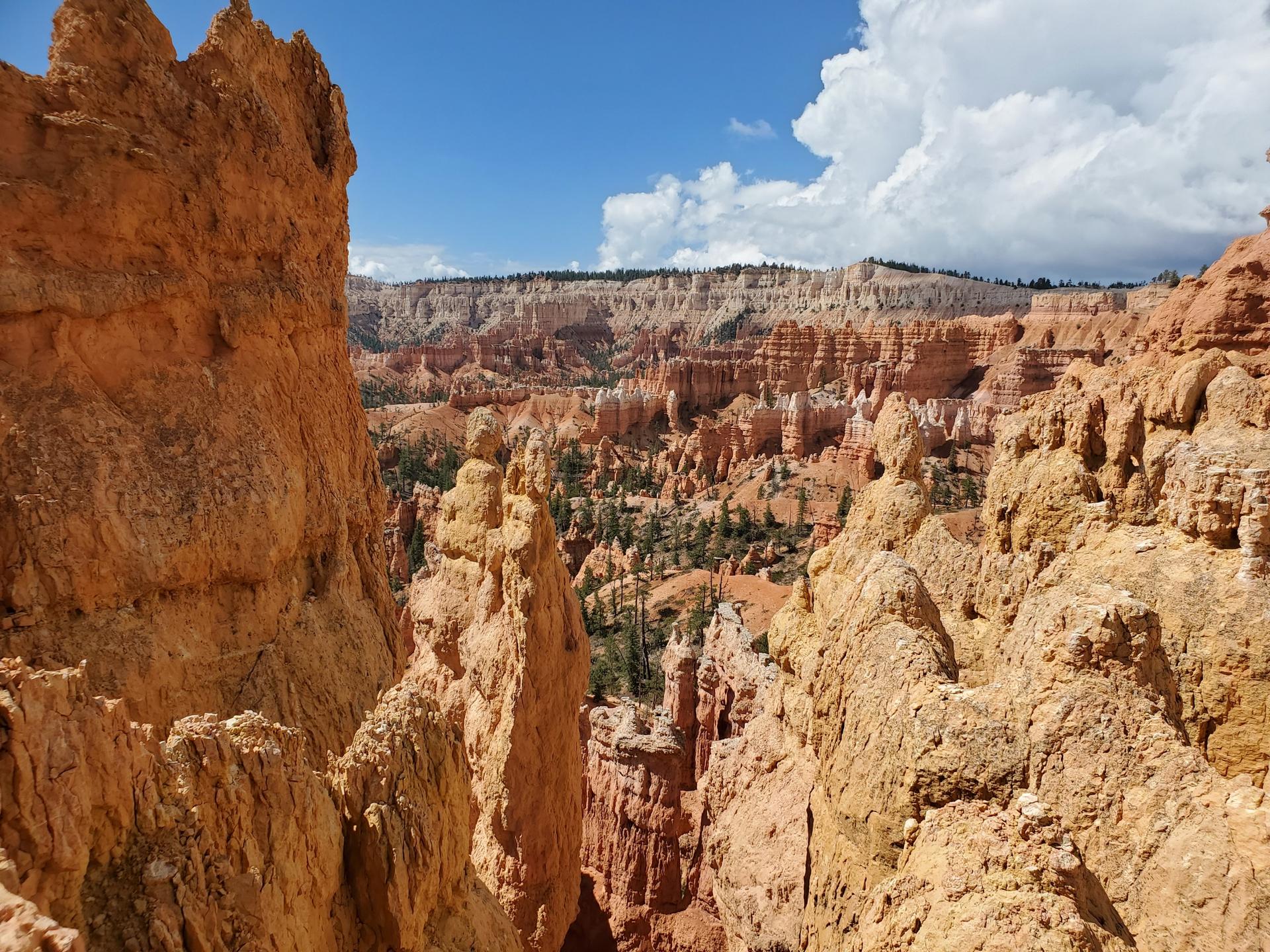 100+] Imágenes de Texas | Wallpapers.com, image size:1920x1440