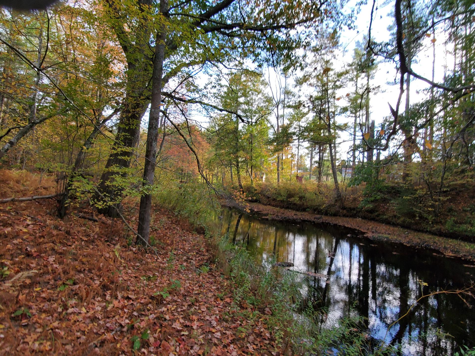 A tranquil river flows through a vibrant autumn forest under diffused light.