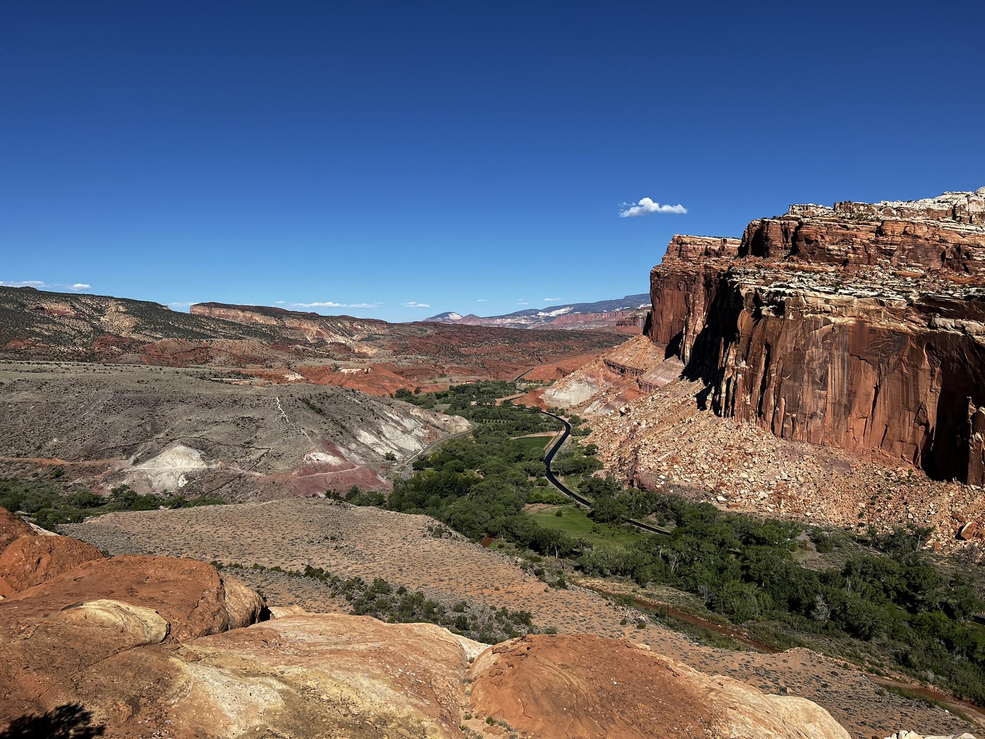 Vast desert valley with a winding green riverbed under a clear blue sky.