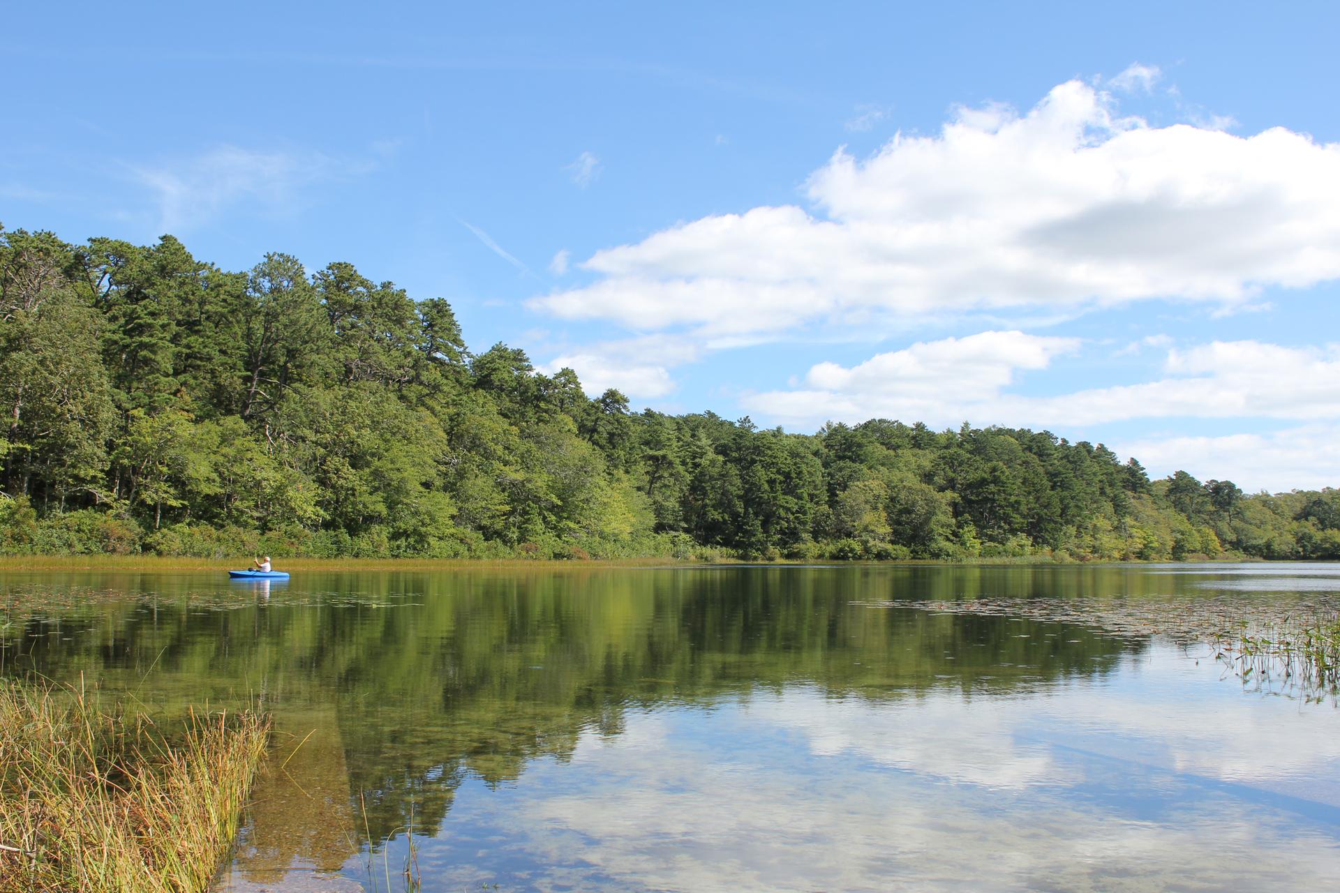 Person kayaking on a calm lake surrounded by green forest under a bright sky.