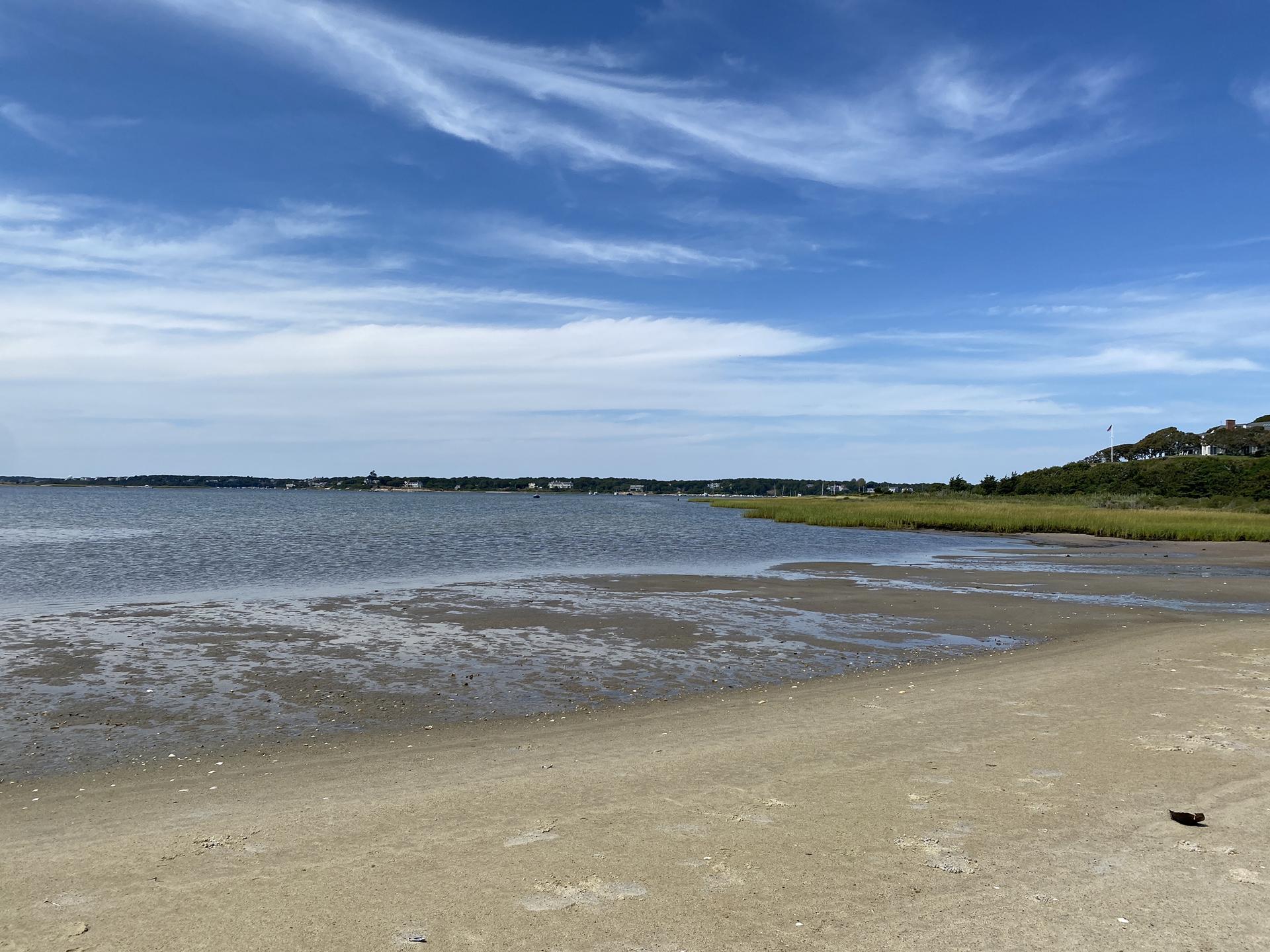 Wide calm water with sandy shore and distant green marsh under a blue sky.