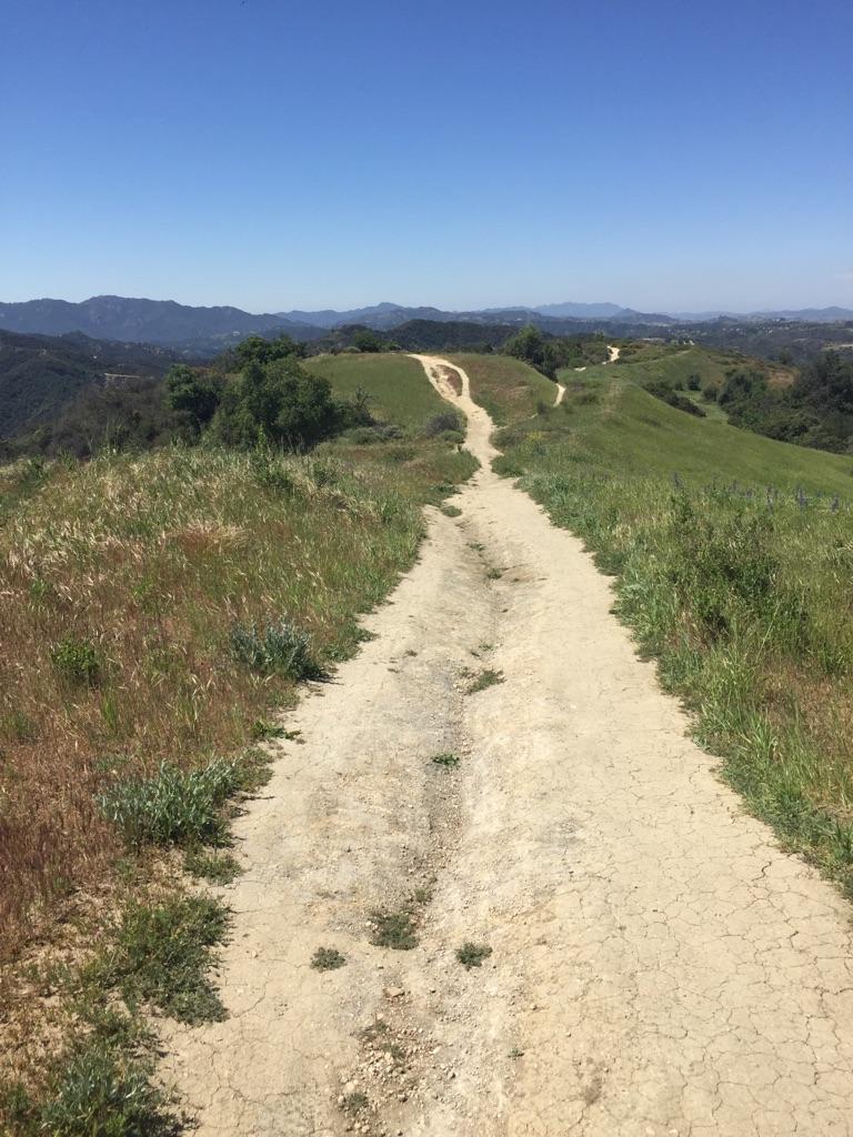 A winding dirt path ascends a sunny, green hillside under a clear blue sky.