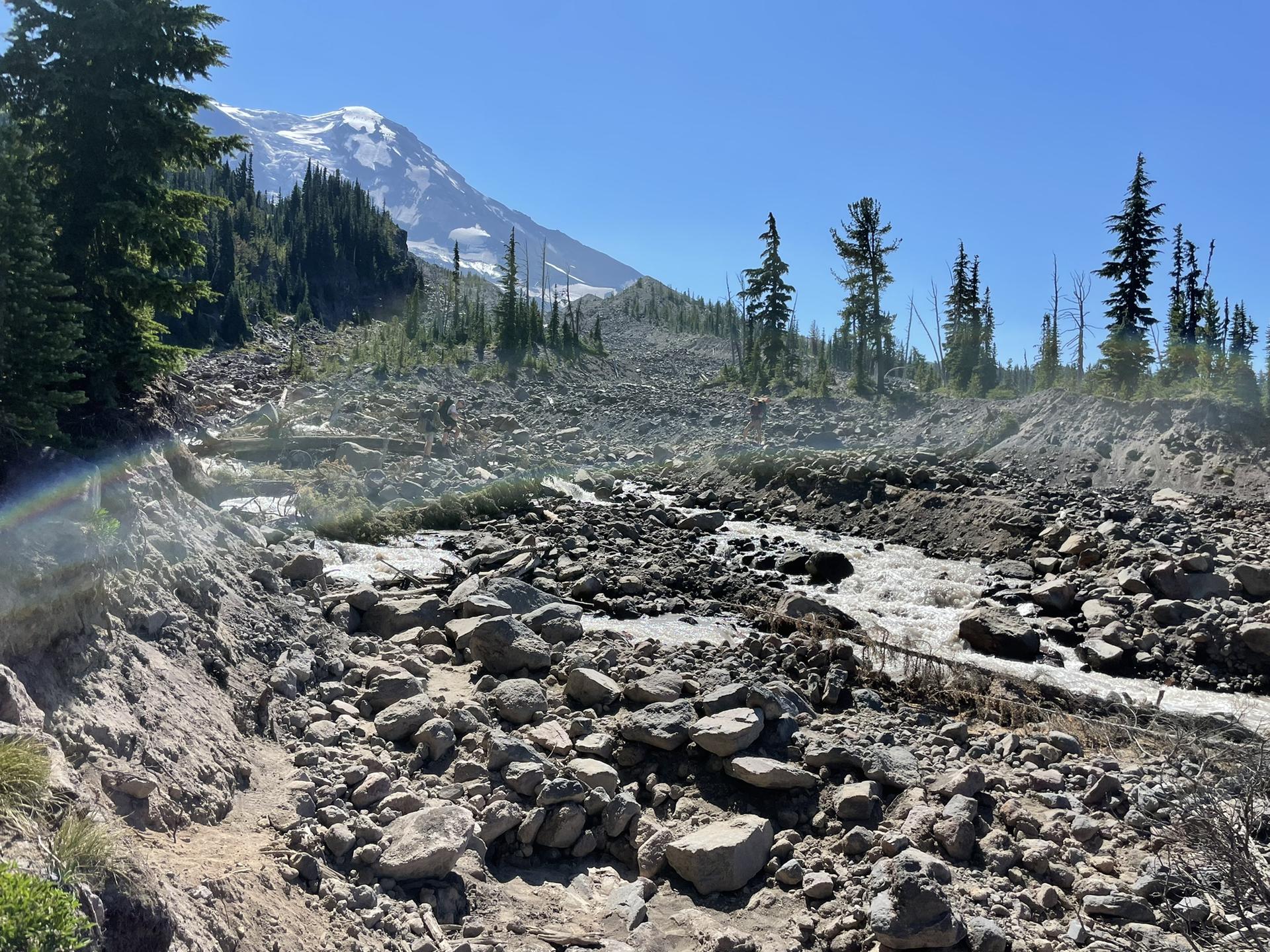 Rocky riverbed with flowing water, sparse trees, and a distant snowy mountain.