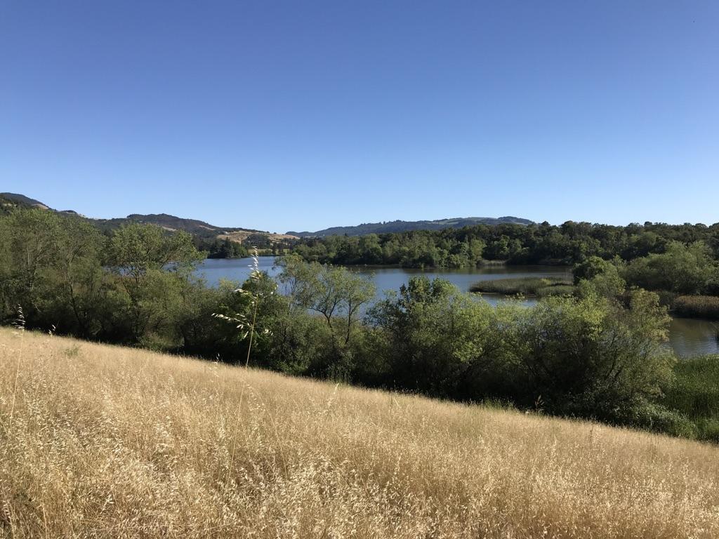 Golden grass field overlooking a serene lake surrounded by green trees.
