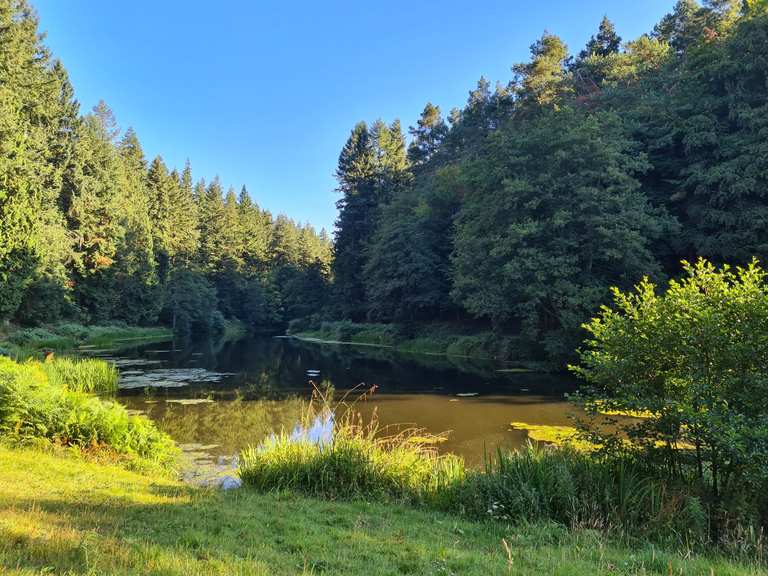 Soudley Ponds – Hiking & Cycling Routes | Komoot