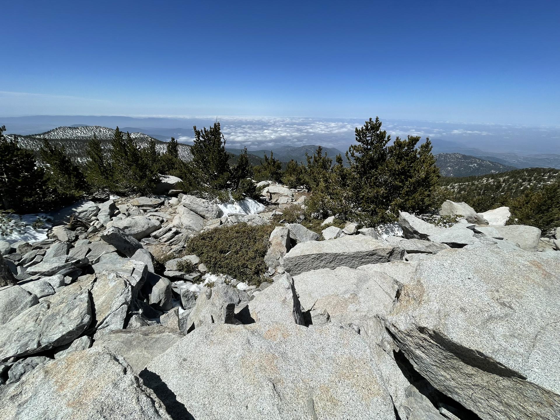 Rocky mountain summit with scattered pine trees and snow under a clear sky.