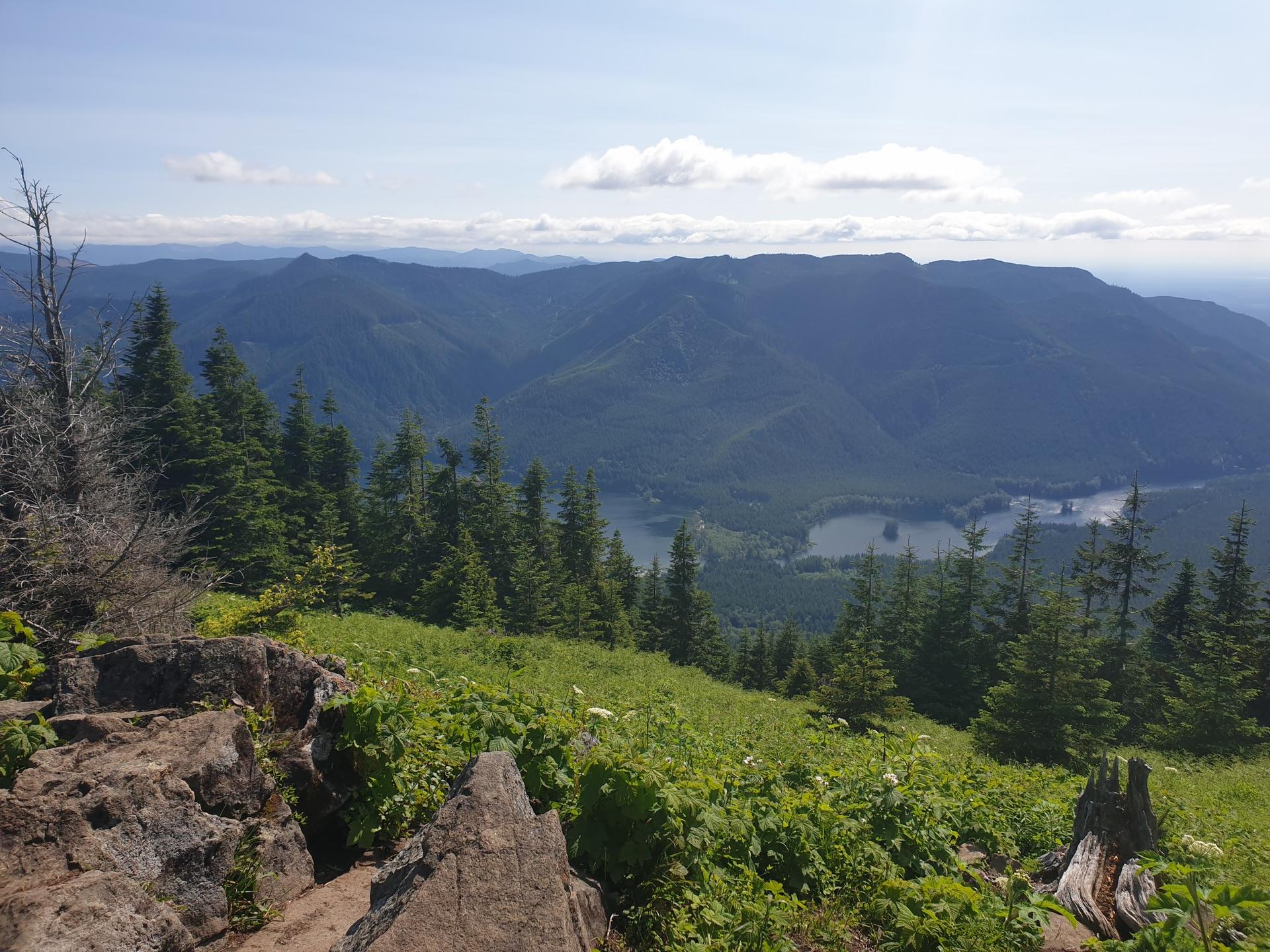 Sunny mountain vista overlooking a lake surrounded by green forests.